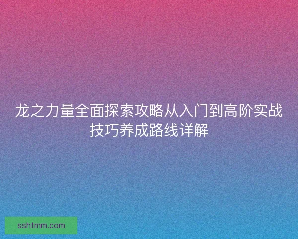 龙之力量全面探索攻略从入门到高阶实战技巧养成路线详解